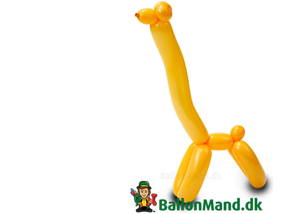 Ballongiraf – Basis 02