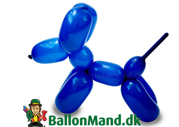 Ballonhund - almindelig - Basis 01