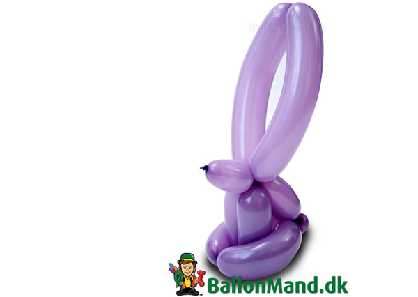 Ballonkanin - Basis 03