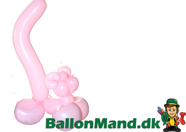 Ballonkat - Basis 07